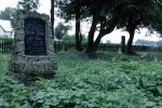 Cmentarz Mennonitów w Stegnie