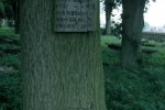 Cmentarz Mennonitów w Stegnie