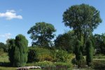 Ogród botaniczny w Łodzi